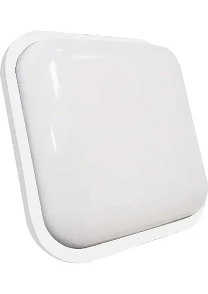 Noas YL15 0124 Zeta Nemliyer 24W Sıva Üstü LED Armatür 6500K Beyaz Işık Beyaz