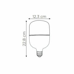 ZMR Torch Ampul E27 50W 6500K