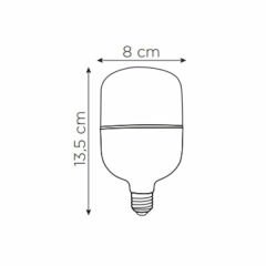 ZMR Torch Ampul E27 20W 6500K